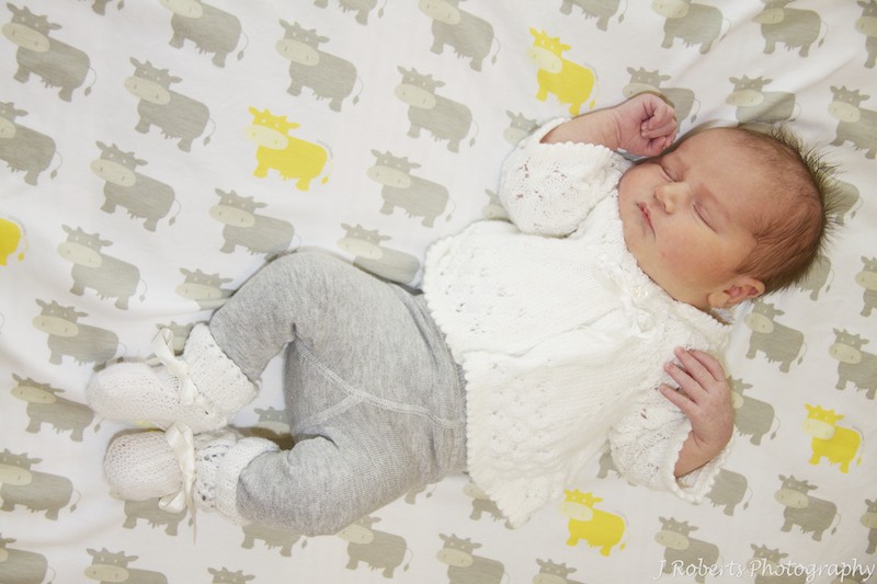 Newborn baby on cow blanket - newborn baby portrait photography sydney